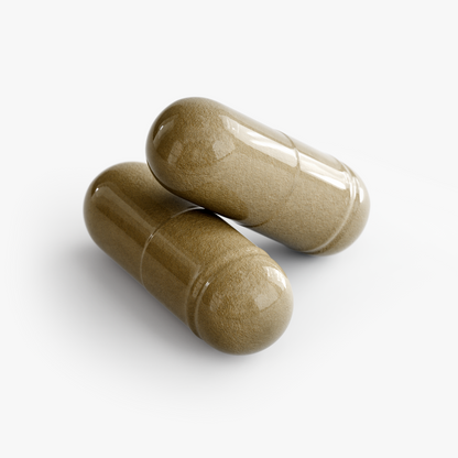Close-up of two olive-brown NUTRIO Panax Ginseng plus Ginkgo Biloba capsules